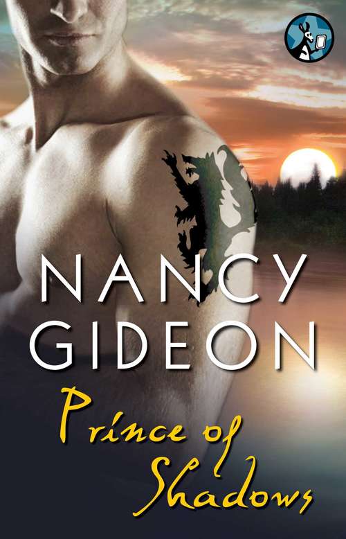 Book cover of Prince of Shadows
