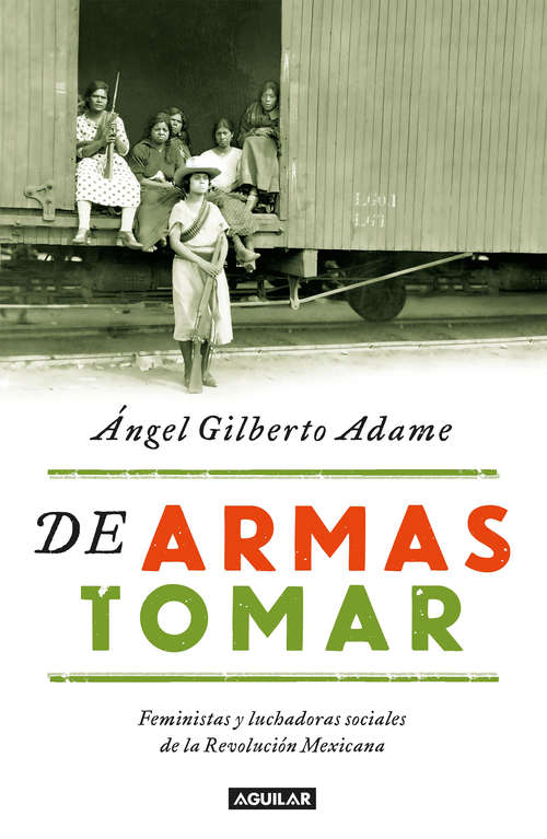 Book cover of De armas tomar: Feministas y luchadoras sociales de la Revolución Mexicana