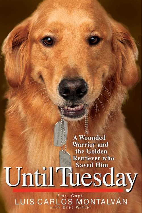 Book cover of Until Tuesday: A Wounded Warrior And The Golden Retriever Who Saved Him