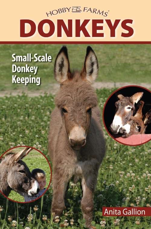 Book cover of Donkeys
