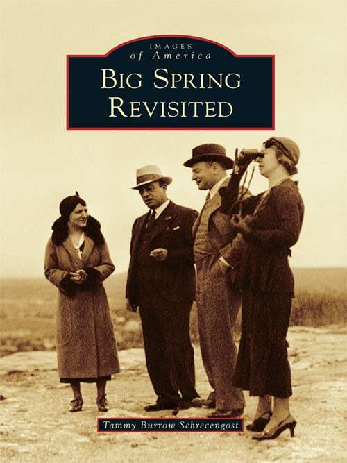 Book cover of Big Spring Revisited
