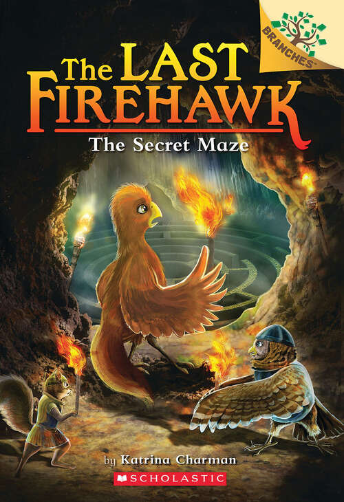 Book cover of The Secret Maze: A Branches Book (The Last Firehawk #10)