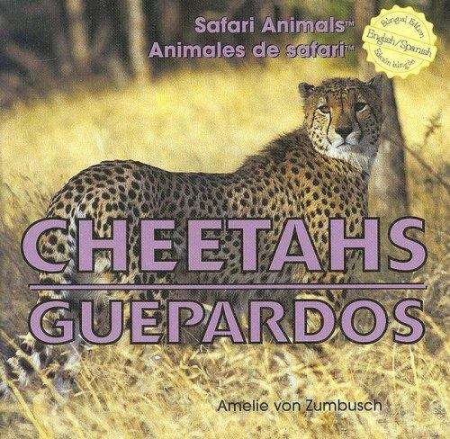 Cheetahs Guepardos 