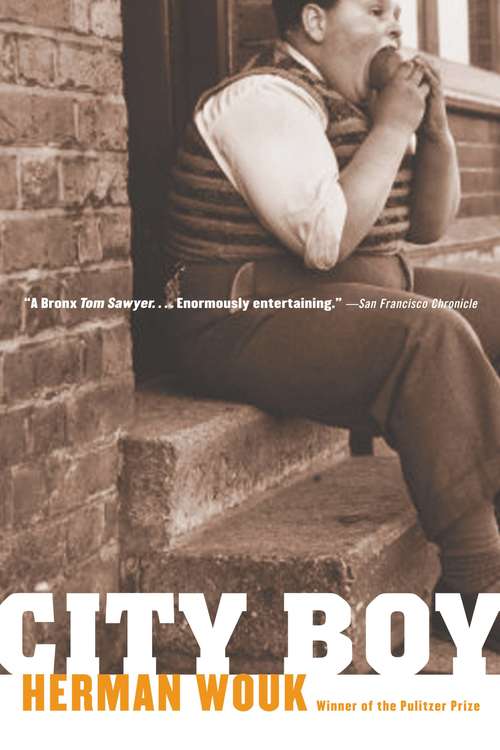 Book cover of City Boy: The Adventures of Herbie Bookbinder