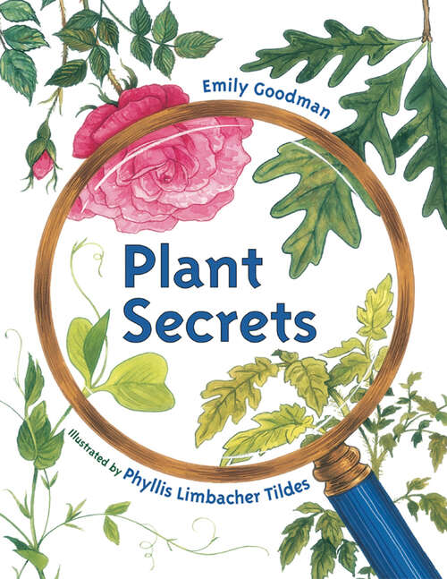 Book cover of Plant Secrets