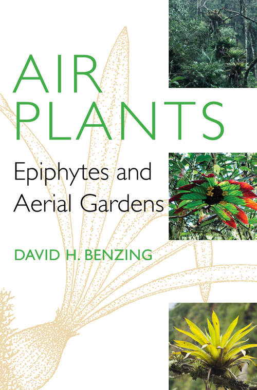 Book cover of Air Plants: Epiphytes and Aerial Gardens