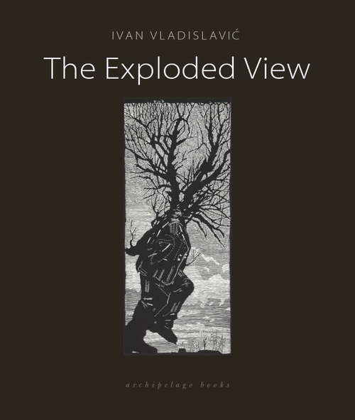 Book cover of The Exploded View