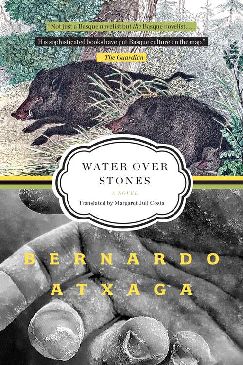 Book cover of Water over Stones: A Novel