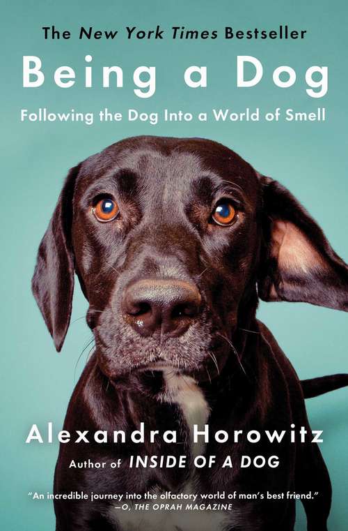 Book cover of Being a Dog: Following the Dog Into a World of Smell