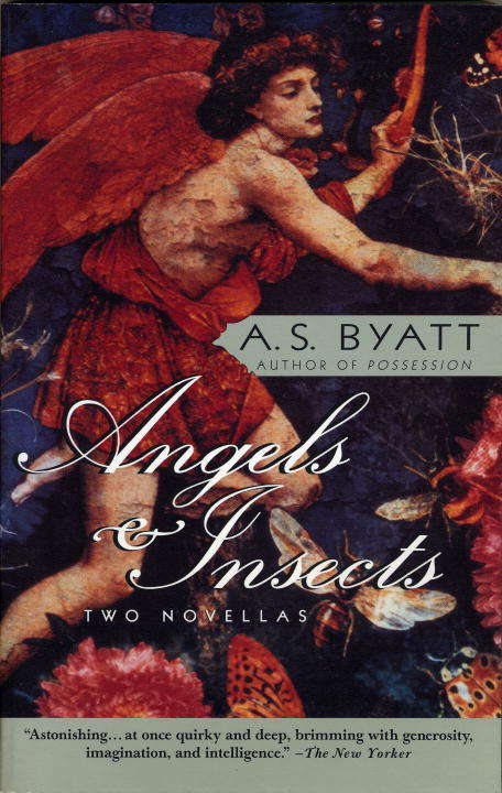 Book cover of Angels & Insects