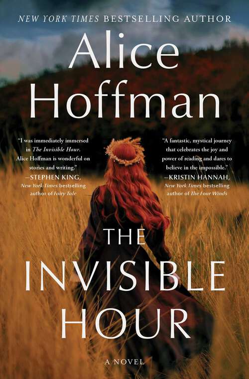 Book cover of The Invisible Hour: A Novel