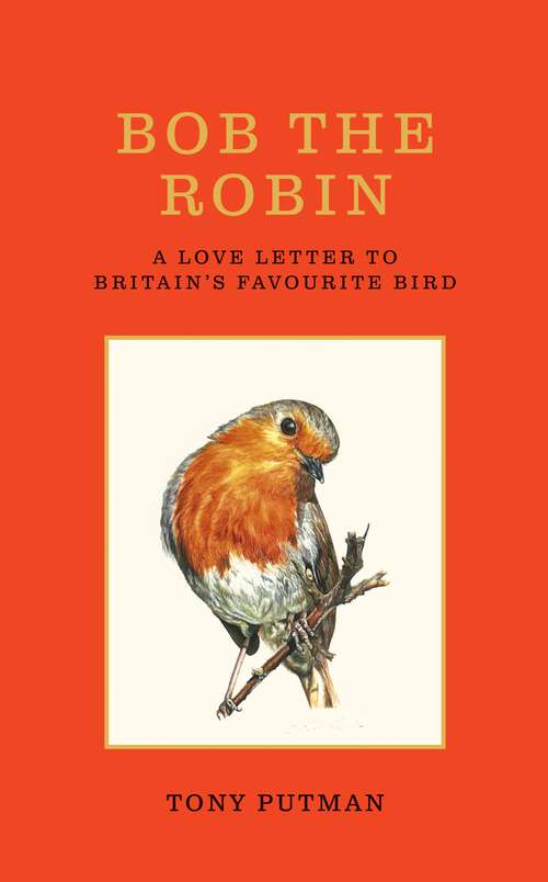 Book cover of Bob the Robin: A love letter to Britain’s favourite bird