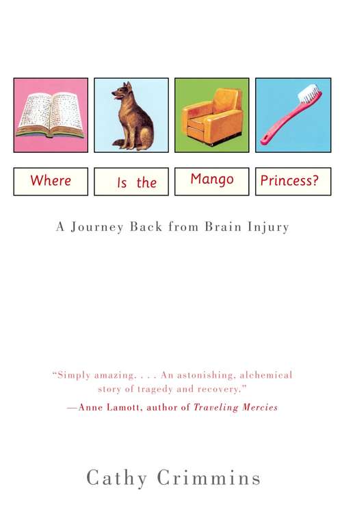 Book cover of Where Is the Mango Princess? A Journey Back from Brain Injury