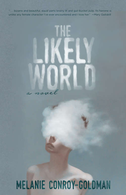 Book cover of The Likely World: A Novel