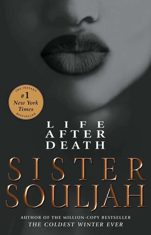 Book cover of Life After Death: A Novel