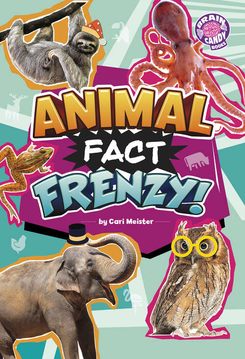 Book cover of Animal Fact Frenzy!