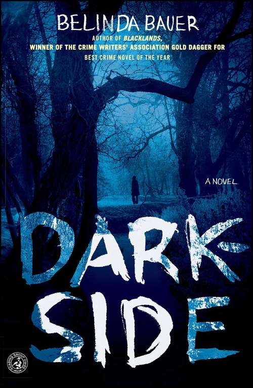 Book cover of Darkside: A Novel