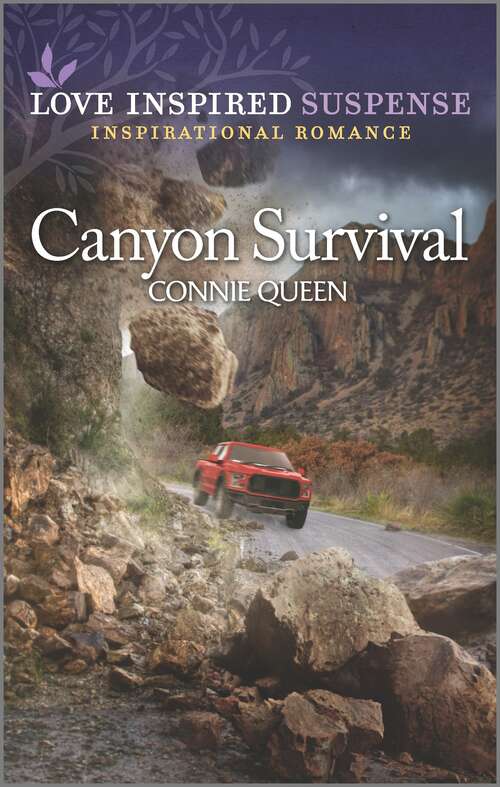 Book cover of Canyon Survival (Original)