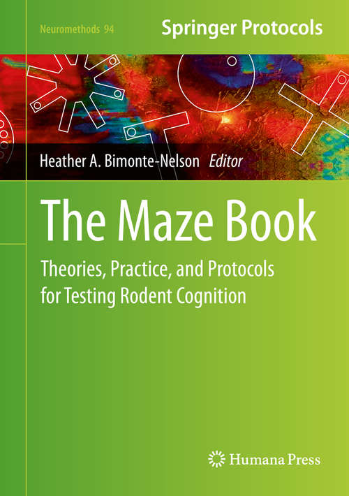 Book cover of The Maze Book