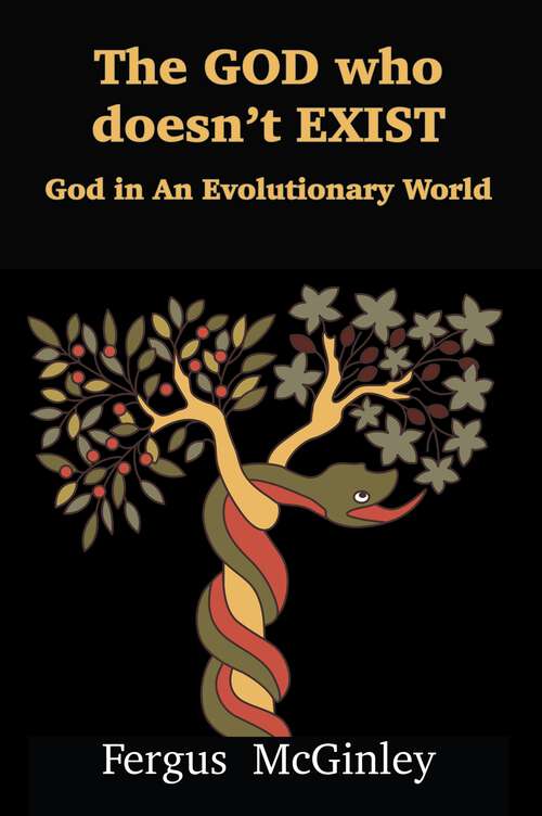 Book cover of The God Who Doesn't Exist: God in An Evolutionary World