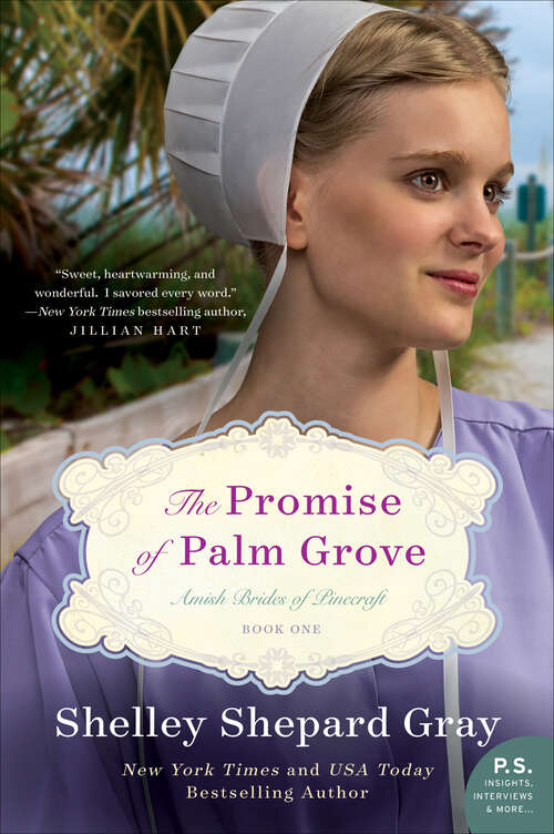 Book cover of The Promise of Palm Grove