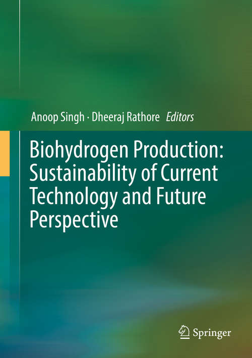 Book cover of Biohydrogen Production: Sustainability of Current Technology and Future Perspective