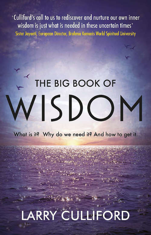 Book cover of The Big Book of Wisdom: What Is It? Why Do We Need It? And How to Get It?