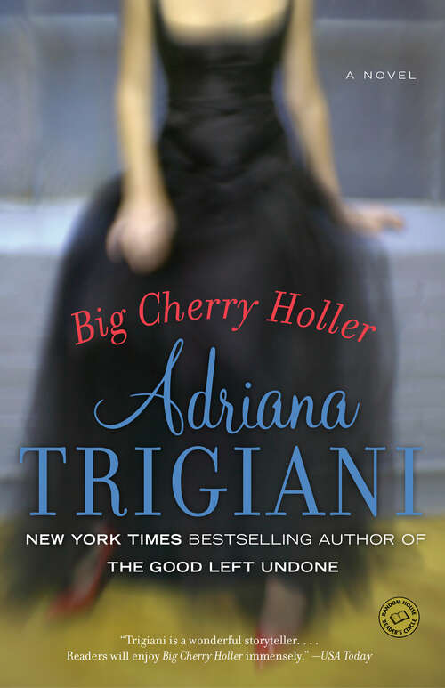 Book cover of Big Cherry Holler (Big Stone Gap #2)