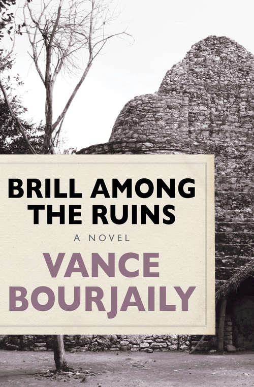Book cover of Brill Among the Ruins