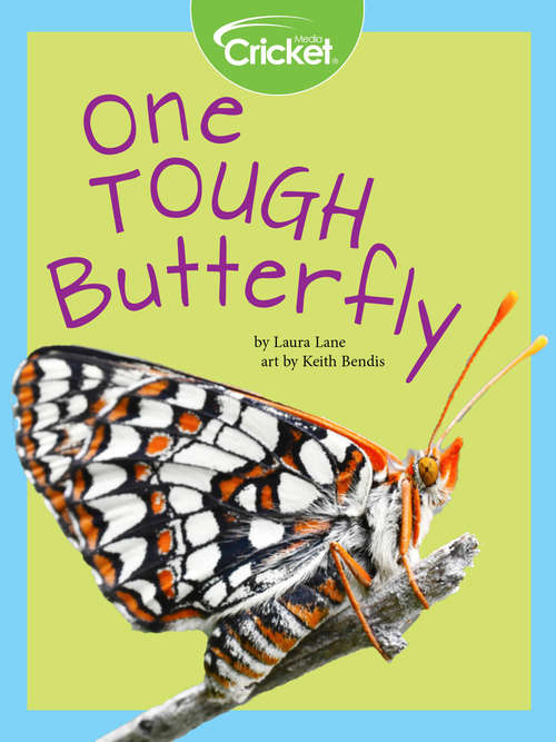 One Tough Butterfly