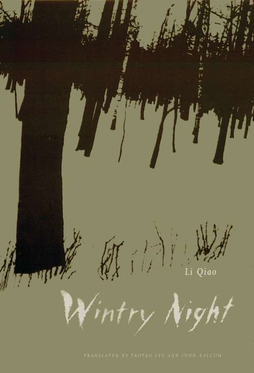 Book cover of Wintry Night