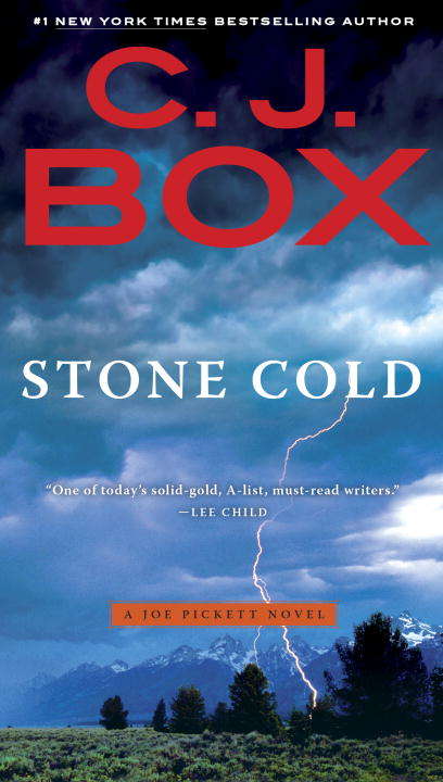 Stone Cold (A Joe Pickett Novel #14)