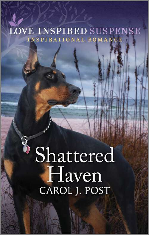 Cover image of Shattered Haven