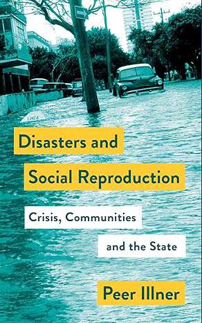 Book cover of Disasters and Social Reproduction: Crisis Response between the State and Community (Mapping Social Reproduction Theory)