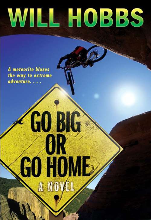 Book cover of Go Big or Go Home