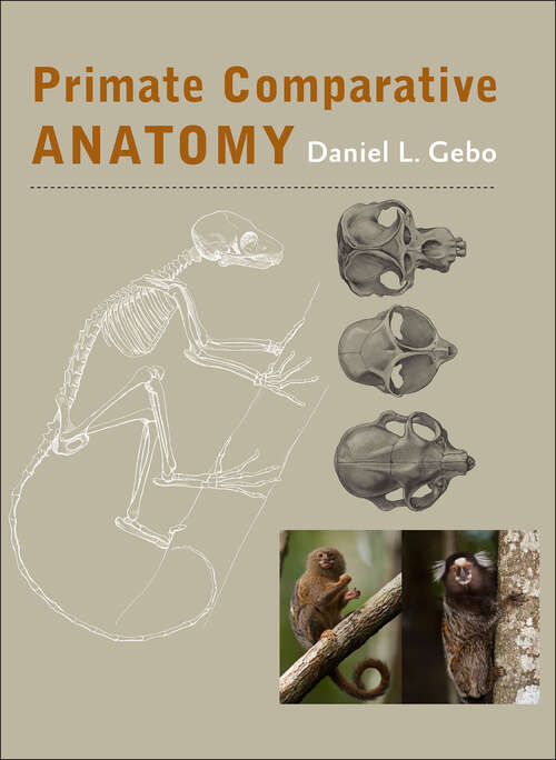 Book cover of Primate Comparative Anatomy