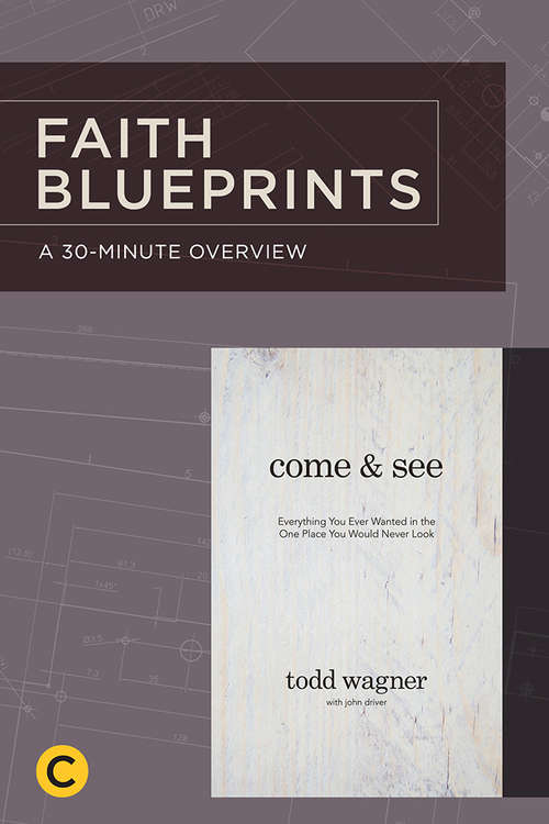 Book cover of 30-Minute Overview of Come and See (Faith Blueprints)