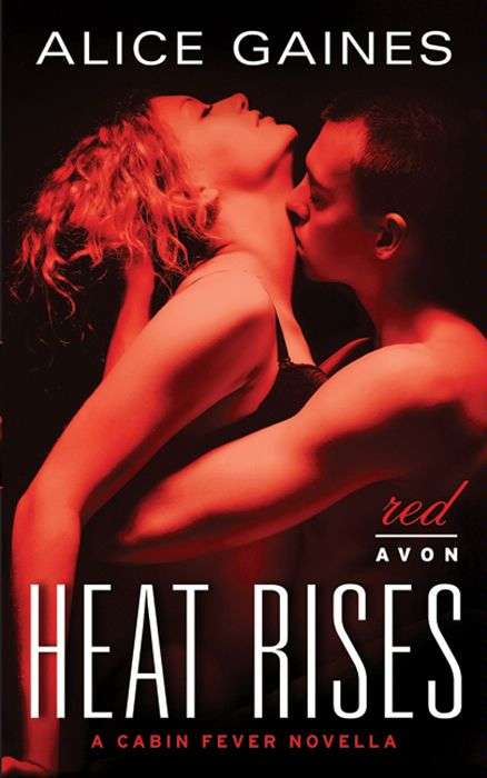 Book cover of Heat Rises