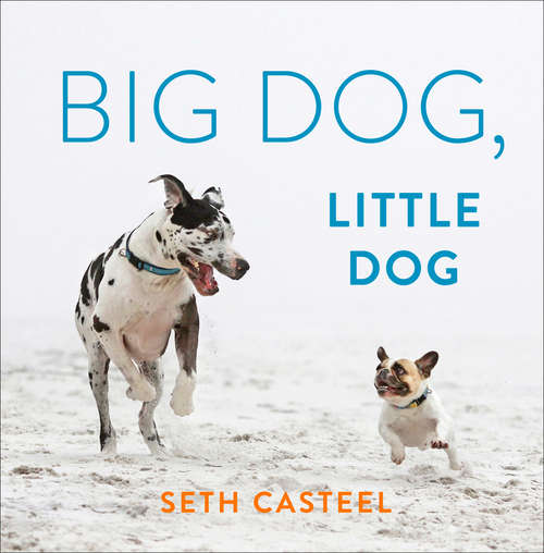 Book cover of Big Dog, Little Dog