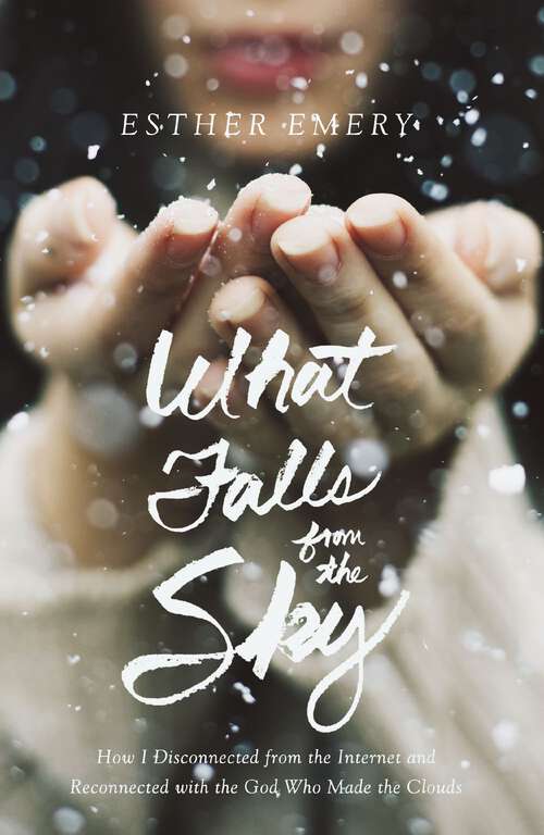 Book cover of What Falls from the Sky: How I Disconnected from the Internet and Reconnected with the God Who Made the Clouds