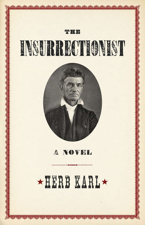 Book cover of The Insurrectionist: A Novel