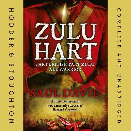 Book cover of Zulu Hart: (Zulu Hart 1)