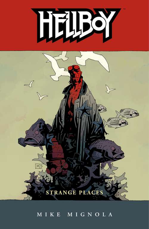 Book cover of Hellboy Volume 6: Strange Places (Hellboy)