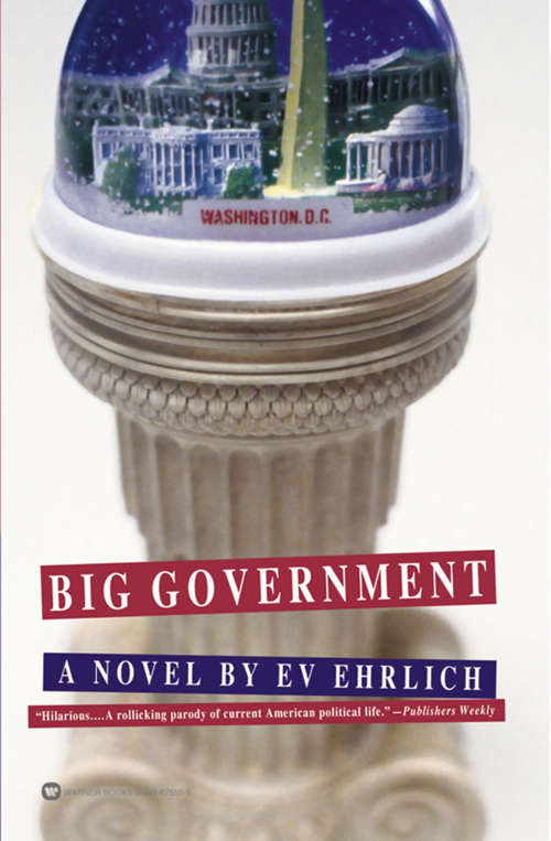 Book cover of Big Government