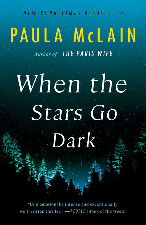 Book cover of When the Stars Go Dark: A Novel