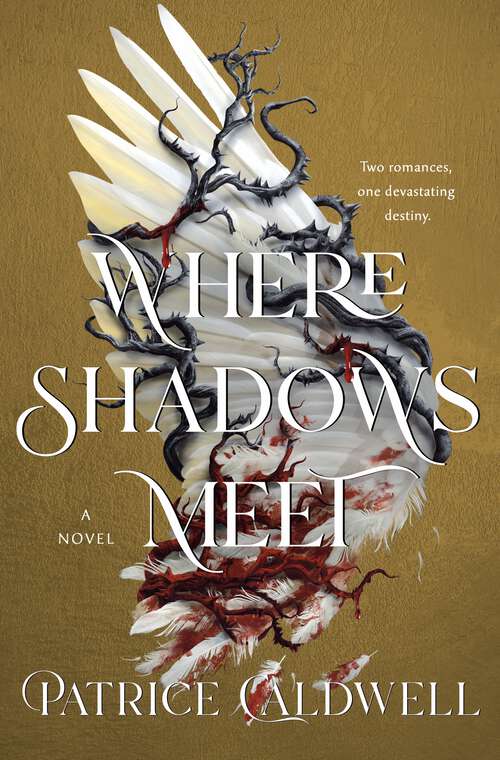 Book cover of Where Shadows Meet: A Novel