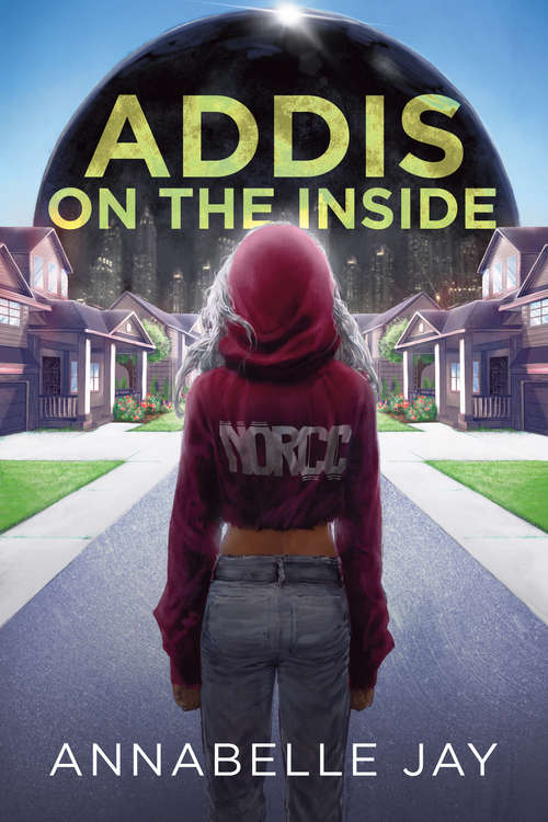 Book cover of Addis on the Inside