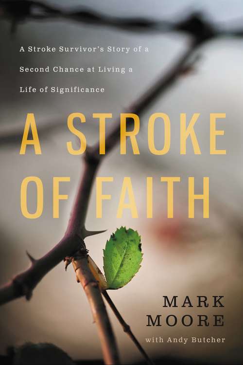 A Stroke of Faith: A Stroke Survivor's Story of a Second Chance at Living a Life of Significance