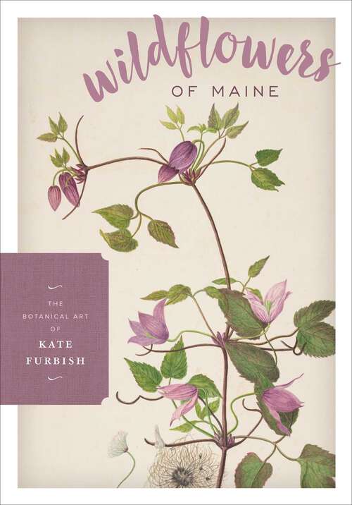 Book cover of Wildflowers of Maine