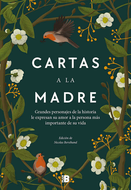 Book cover of Cartas a la madre: Grandes figuras de la historia le expresan su amor a la persona más importante de su vida